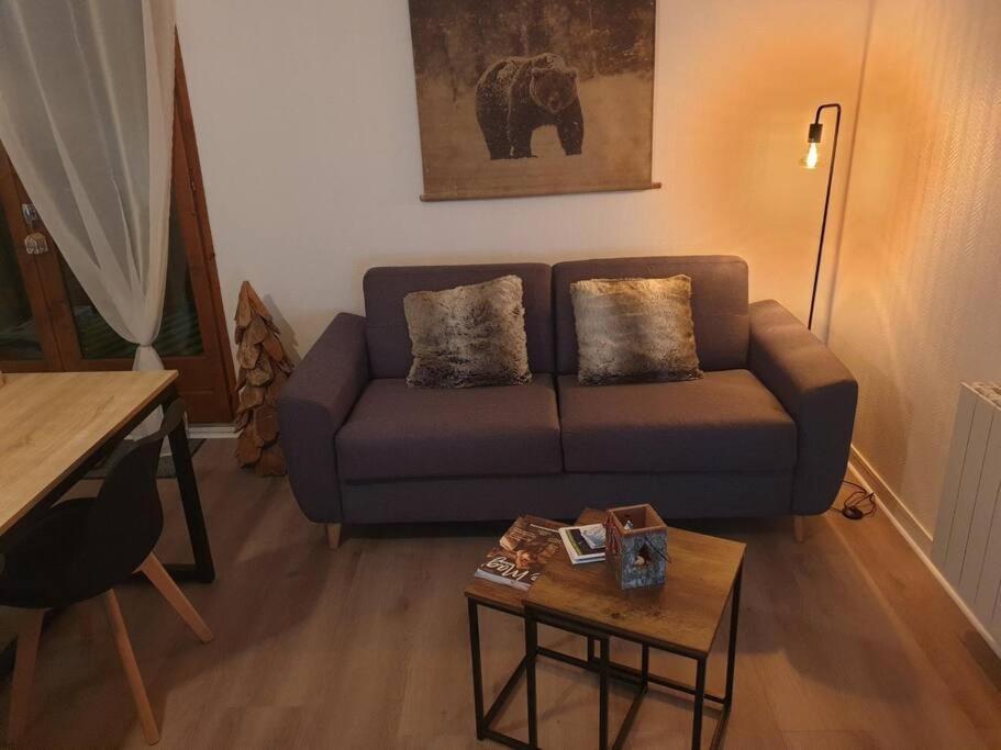 Appartement Au Pied Des Telecabines Res La Soulan Bagneres-de-Luchon Luaran gambar